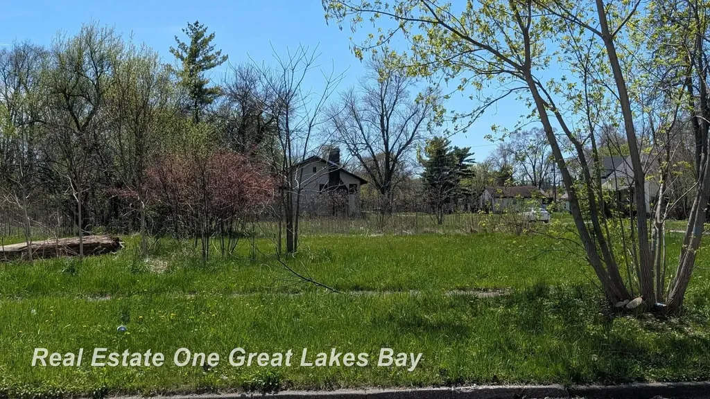 1317 S Park Avenue Saginaw City MI 48601