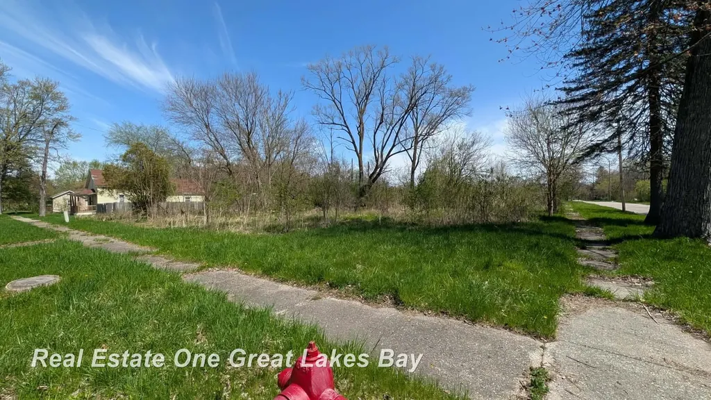 1317 S Park Avenue Saginaw City MI 48601