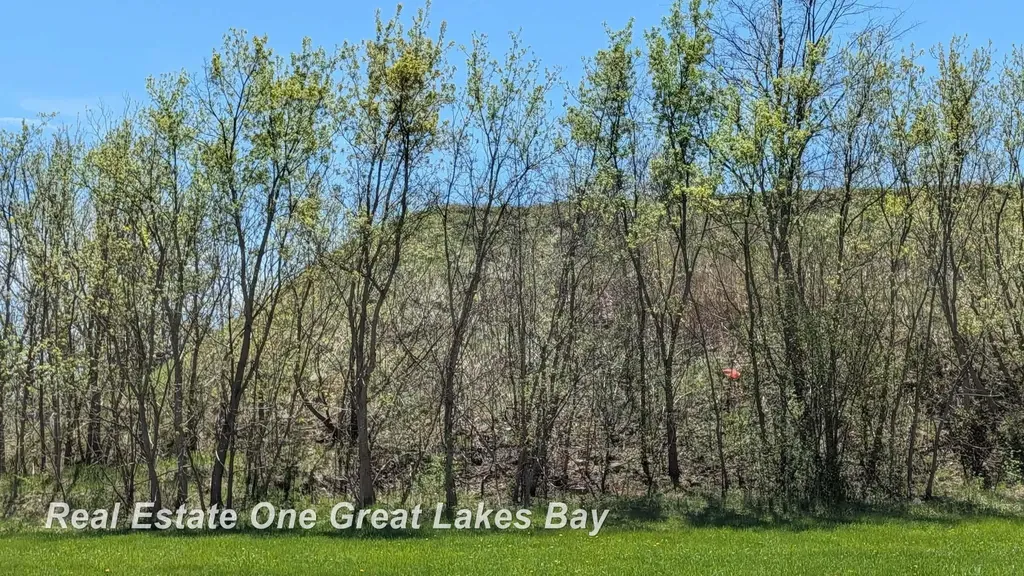 1317 S Park Avenue Saginaw City MI 48601