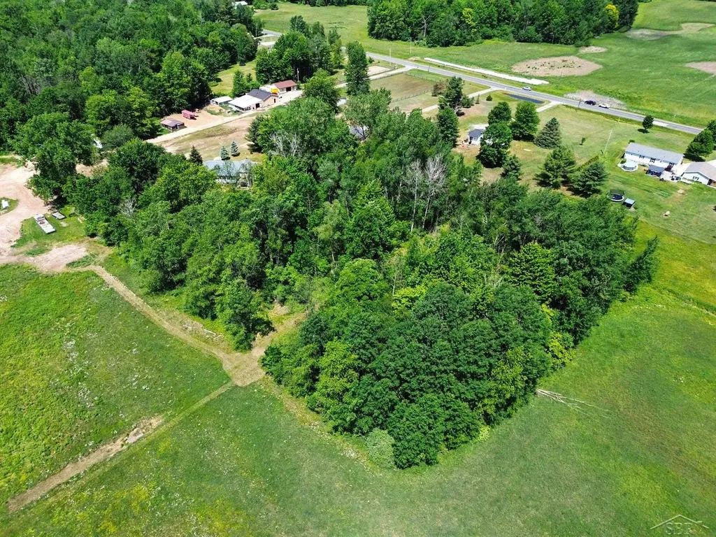 2424 E Shaffer Road Mills Township MI 48642
