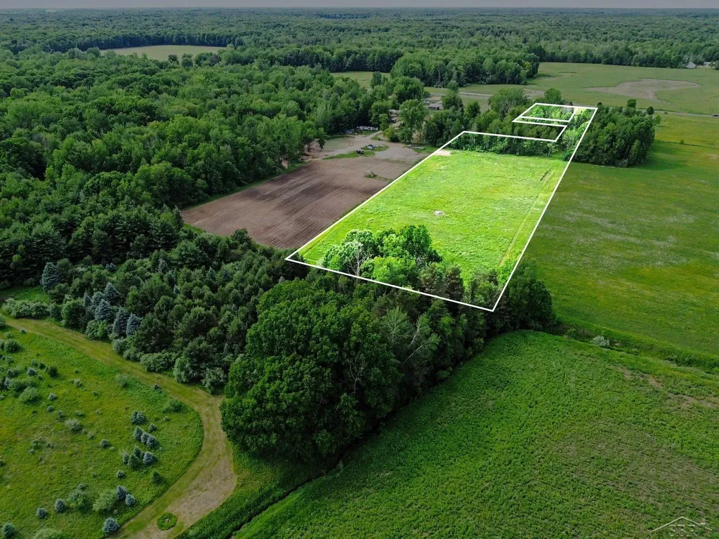 2424 E Shaffer Road Mills Township MI 48642
