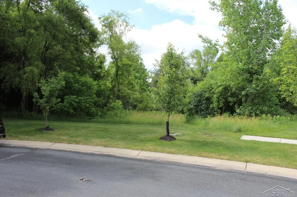 Lot 86 Edgebrook Drive Thomas Township MI 48609