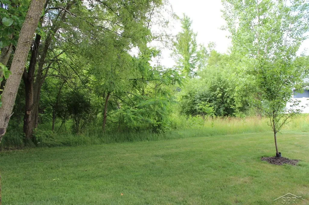 Lot 86 Edgebrook Drive Thomas Township MI 48609