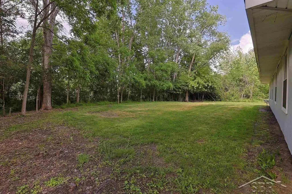 62 Five Mile Road Homer Township MI 48640