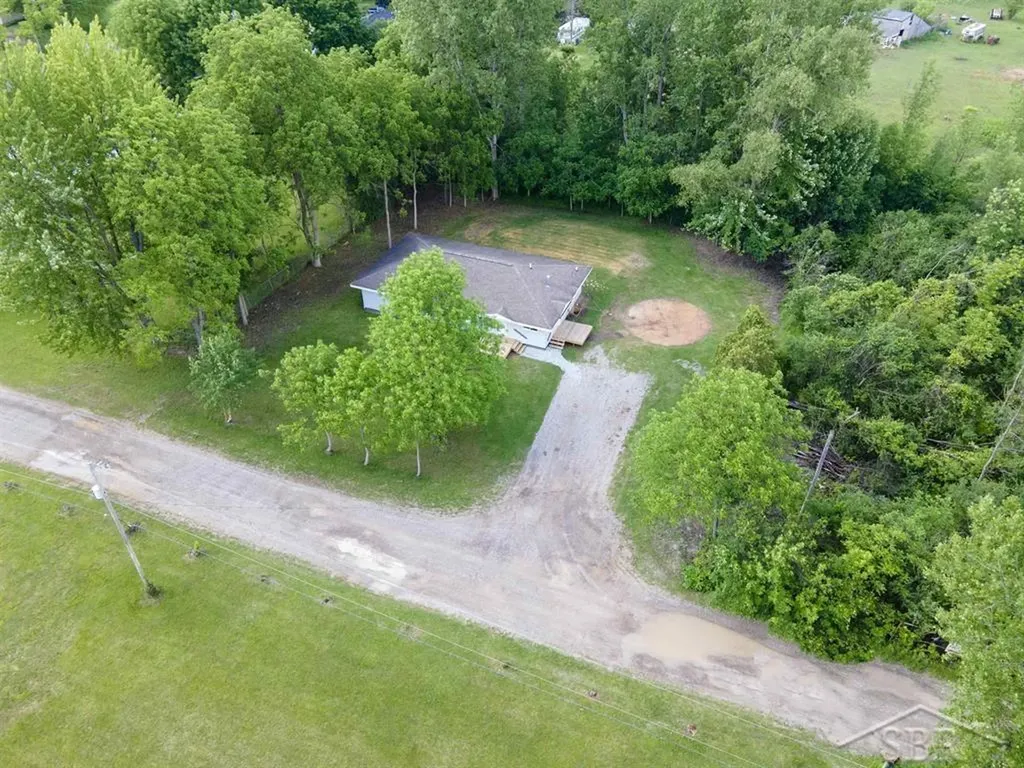 62 Five Mile Road Homer Township MI 48640