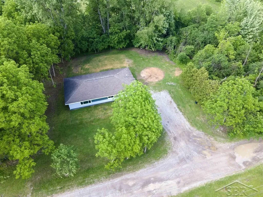 62 Five Mile Road Homer Township MI 48640
