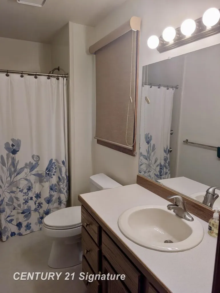 1249 E Oakdale Circle Tittabawassee Township MI 48623
