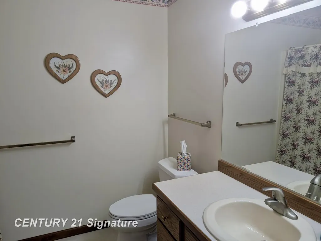 1249 E Oakdale Circle Tittabawassee Township MI 48623
