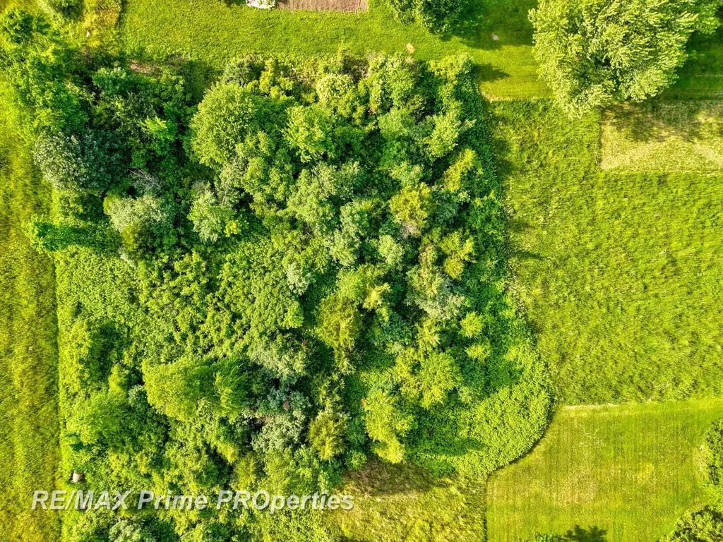 00 Oakley Road Brady Township MI 48616