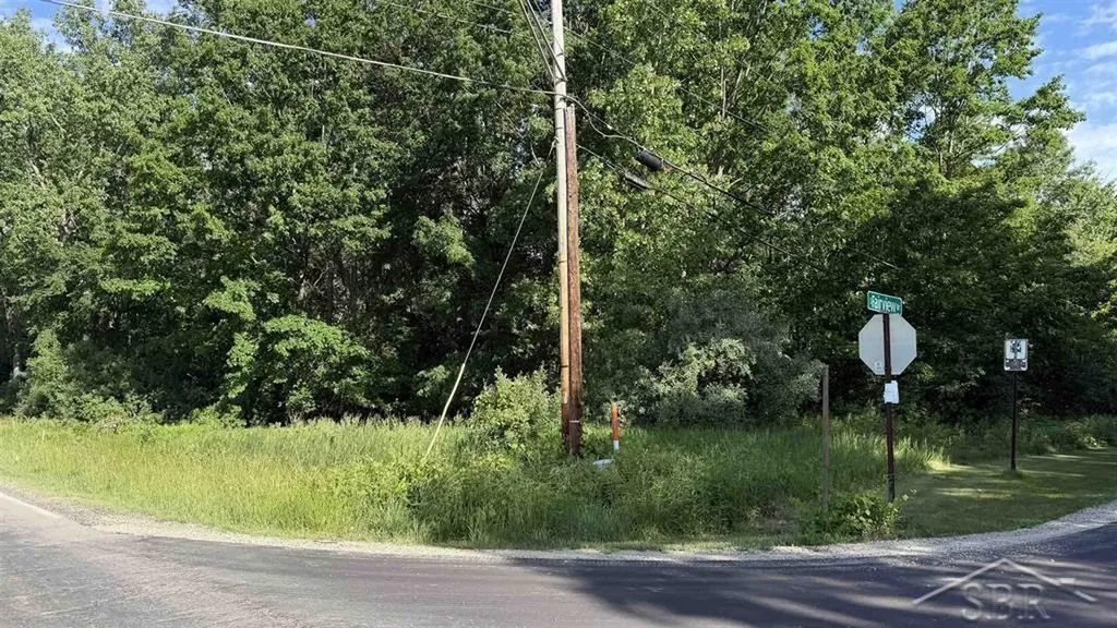 Vl E Gordonville Road Homer Township MI 48640