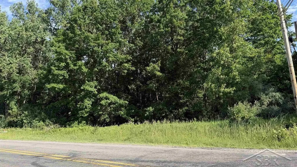 Vl E Gordonville Road Homer Township MI 48640