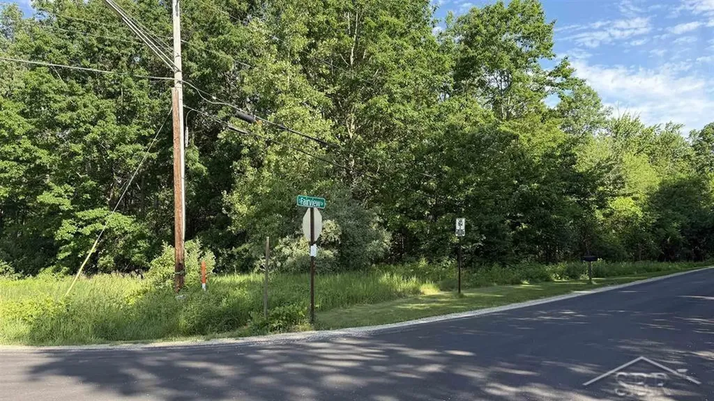 Vl E Gordonville Road Homer Township MI 48640