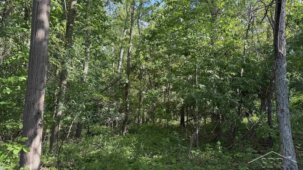 Vl E Gordonville Road Homer Township MI 48640