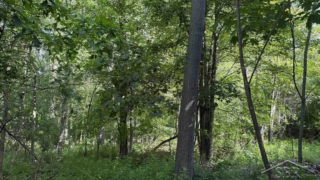Vl E Gordonville Road Homer Township MI 48640