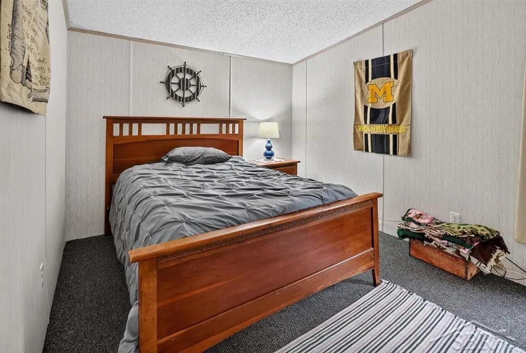 7059 Chain Lake Drive Plainfield Township MI 48761