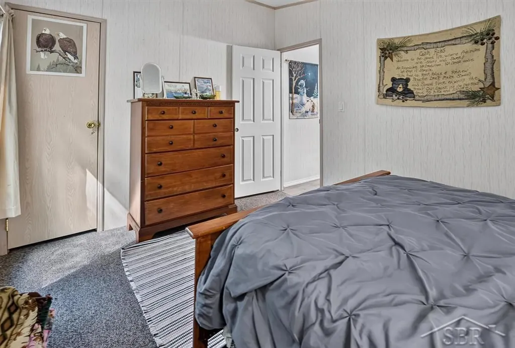 7059 Chain Lake Drive Plainfield Township MI 48761