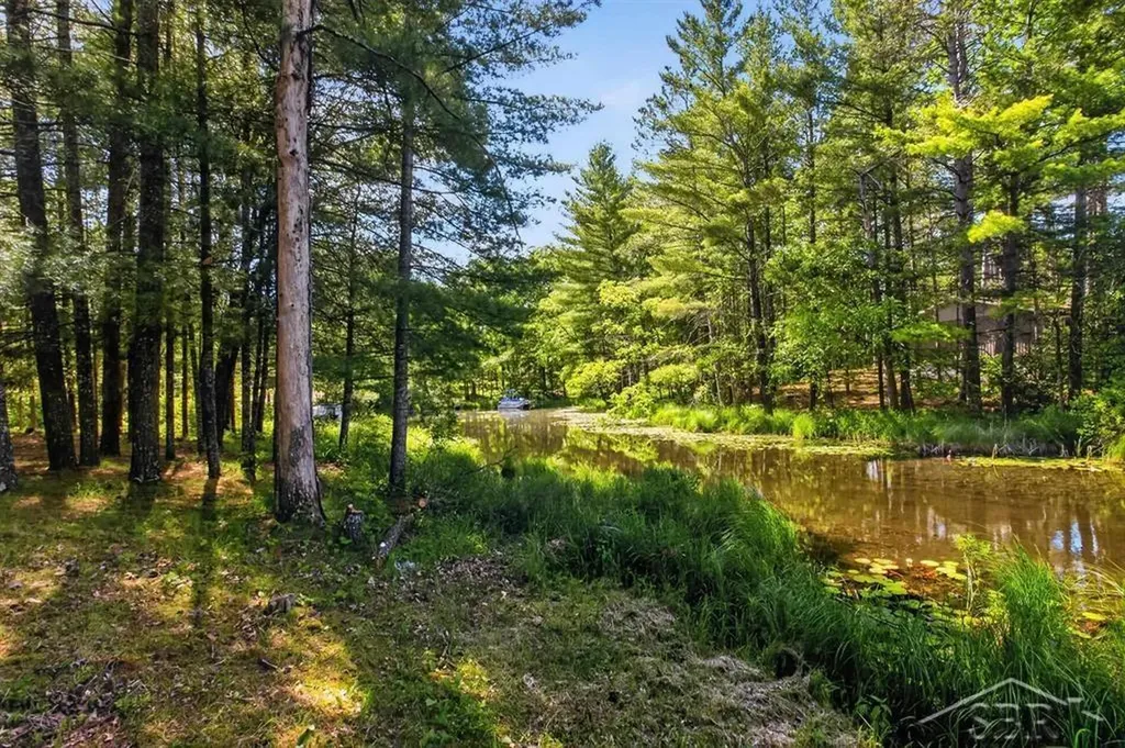 7059 Chain Lake Drive Plainfield Township MI 48761