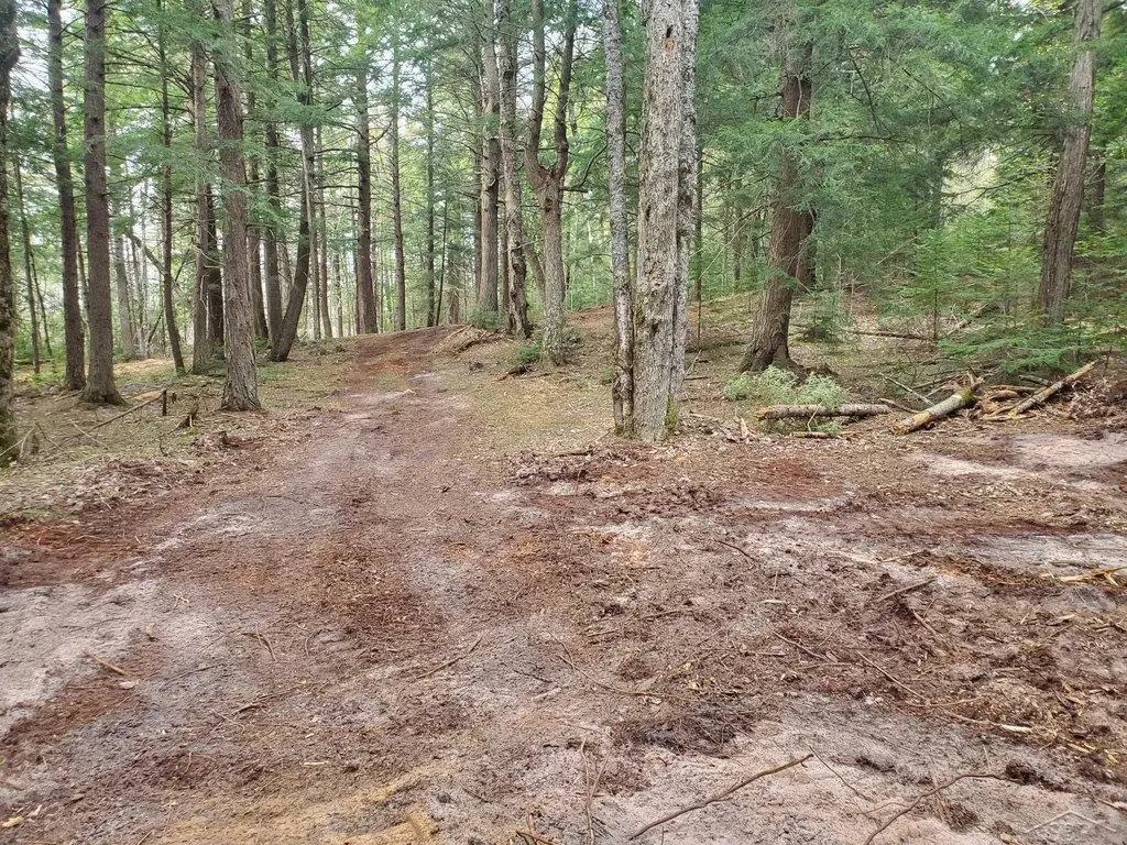 Old Plank Road Au Train Township MI 49895