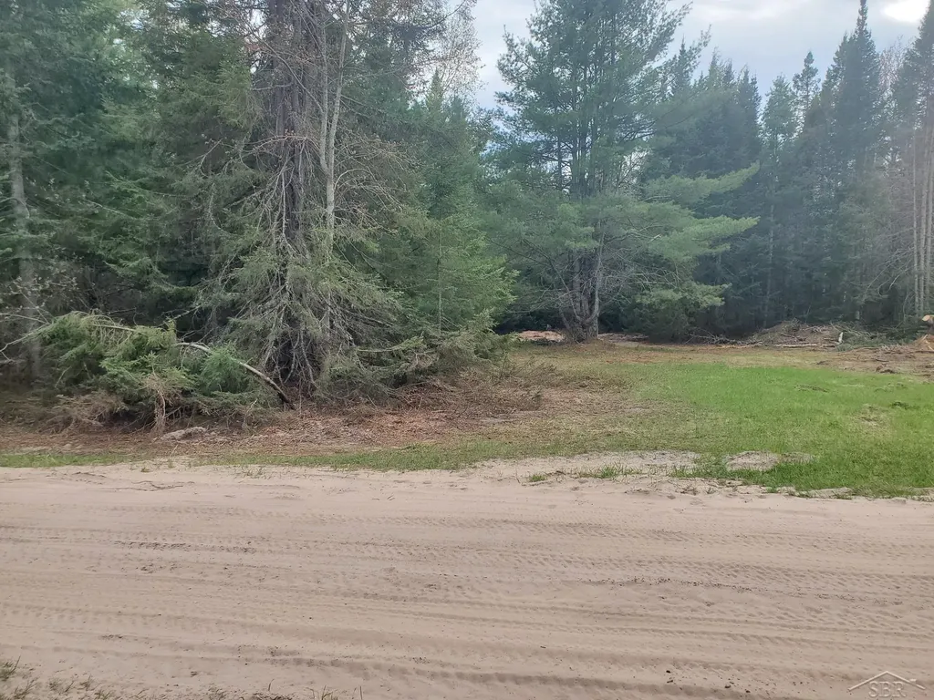 Old Plank Road Au Train Township MI 49895