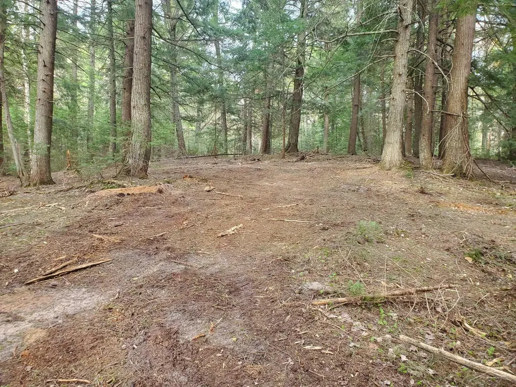 Old Plank Road Au Train Township MI 49895