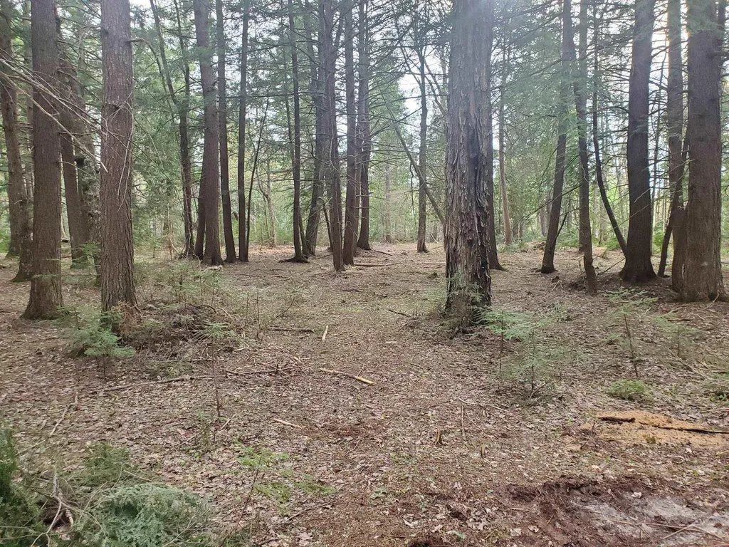 Old Plank Road Au Train Township MI 49895