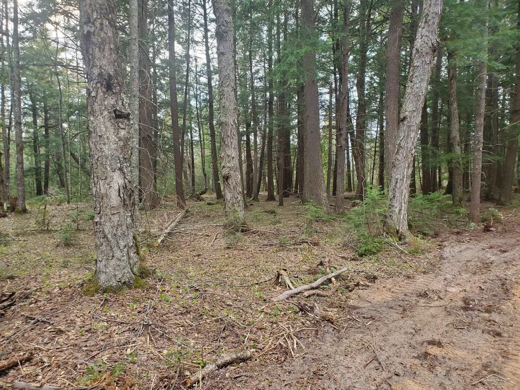 Old Plank Road Au Train Township MI 49895