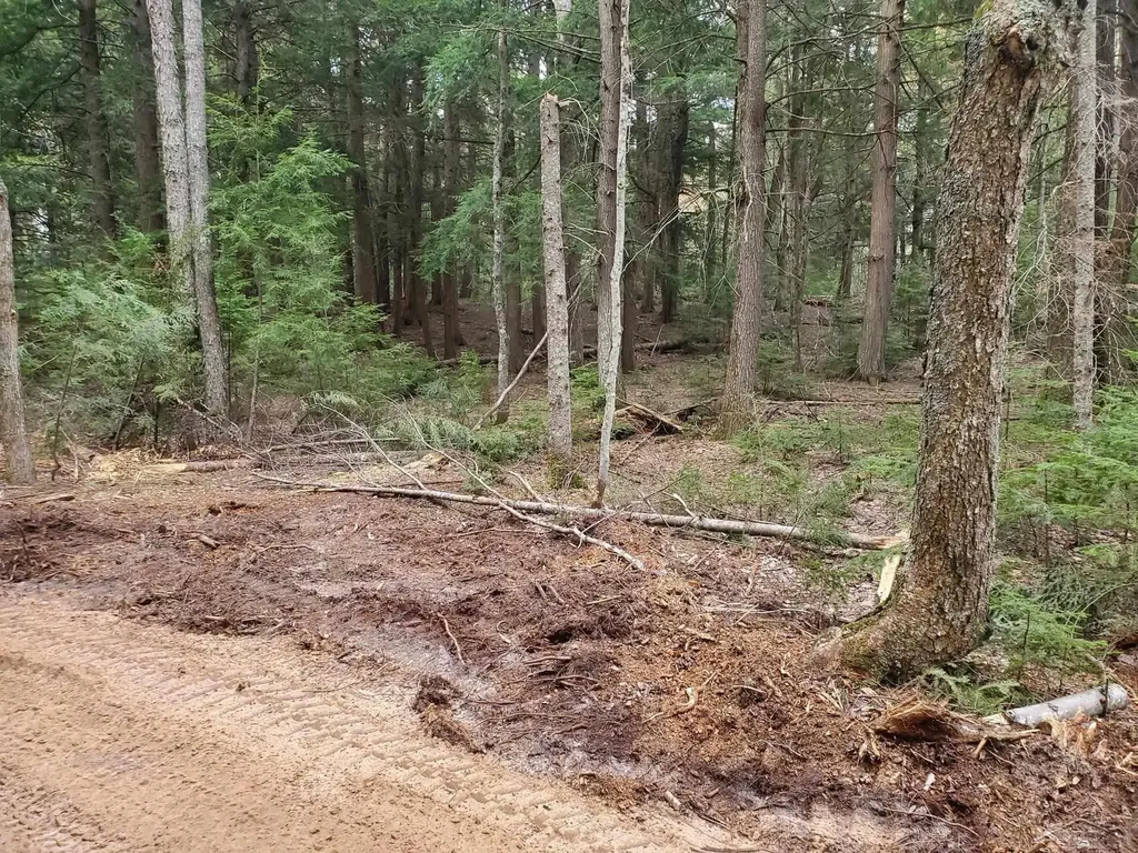 Old Plank Road Au Train Township MI 49895