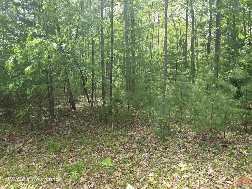 1980 4th Oak Street Mills Township MI 48756