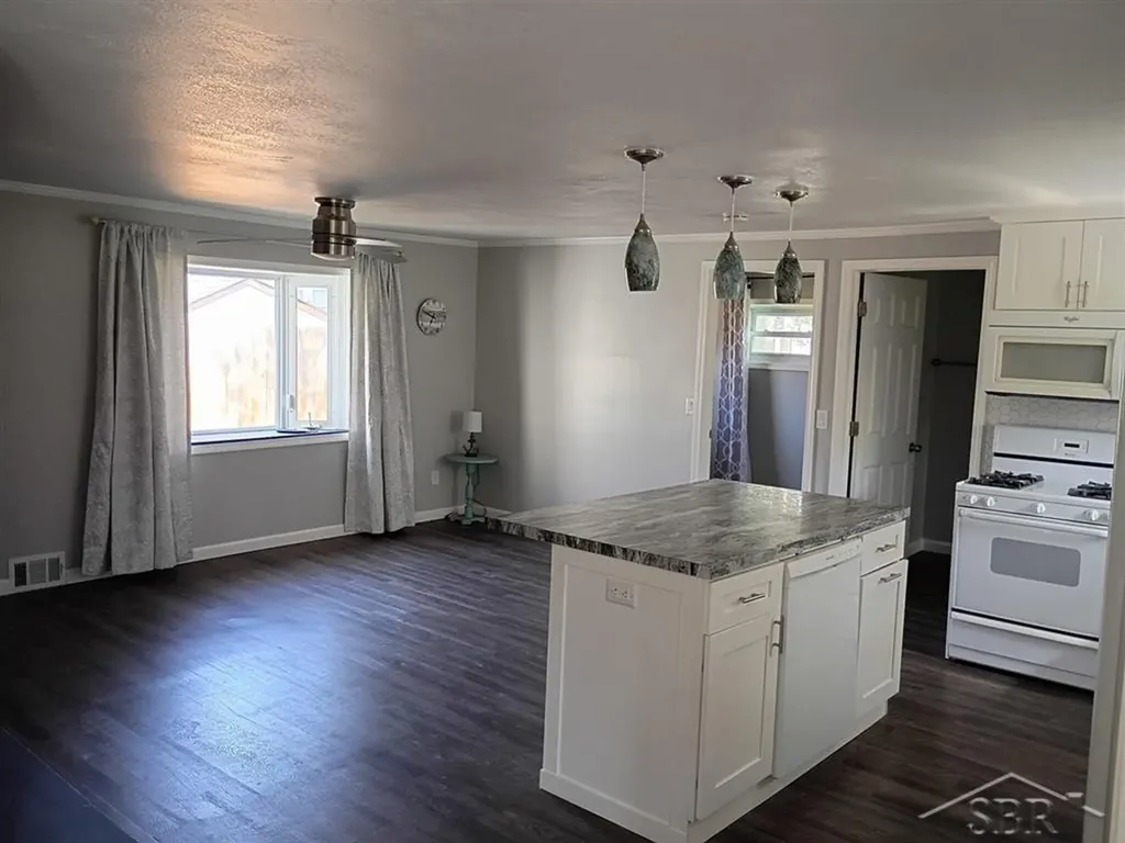 520 W Jessie Street Edenville Township MI 48657