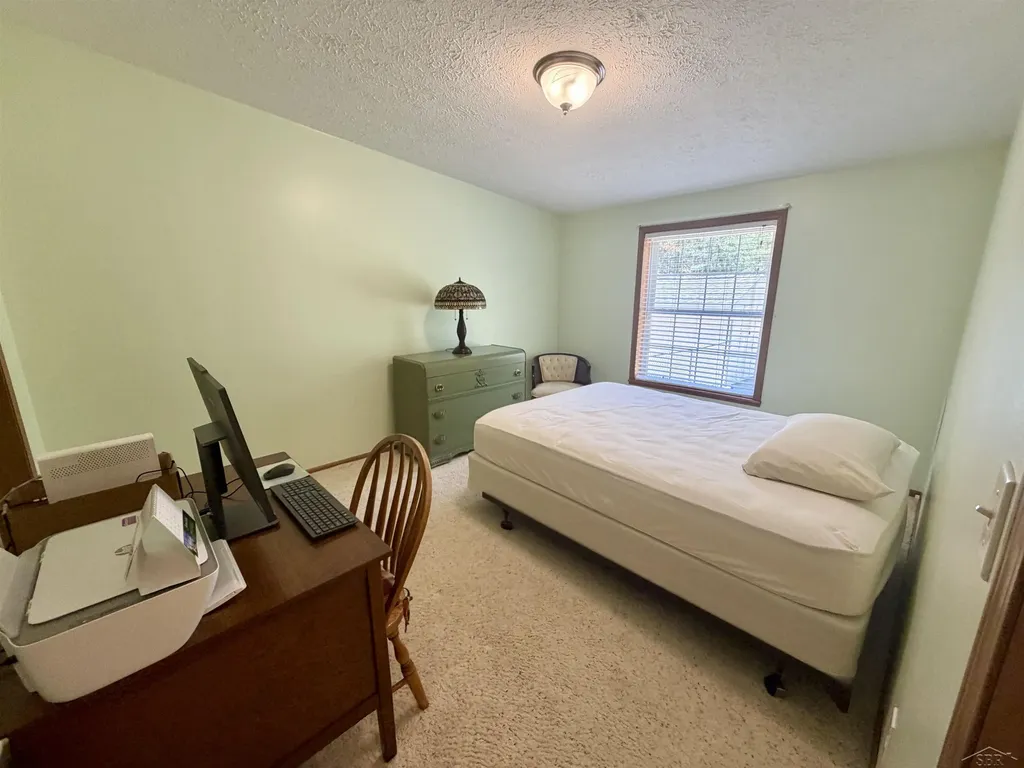 6113 Hillside Drive Moffatt Township MI 48610