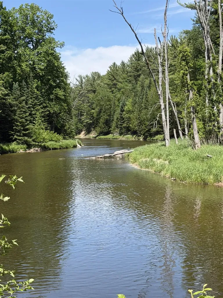 6113 Hillside Drive Moffatt Township MI 48610