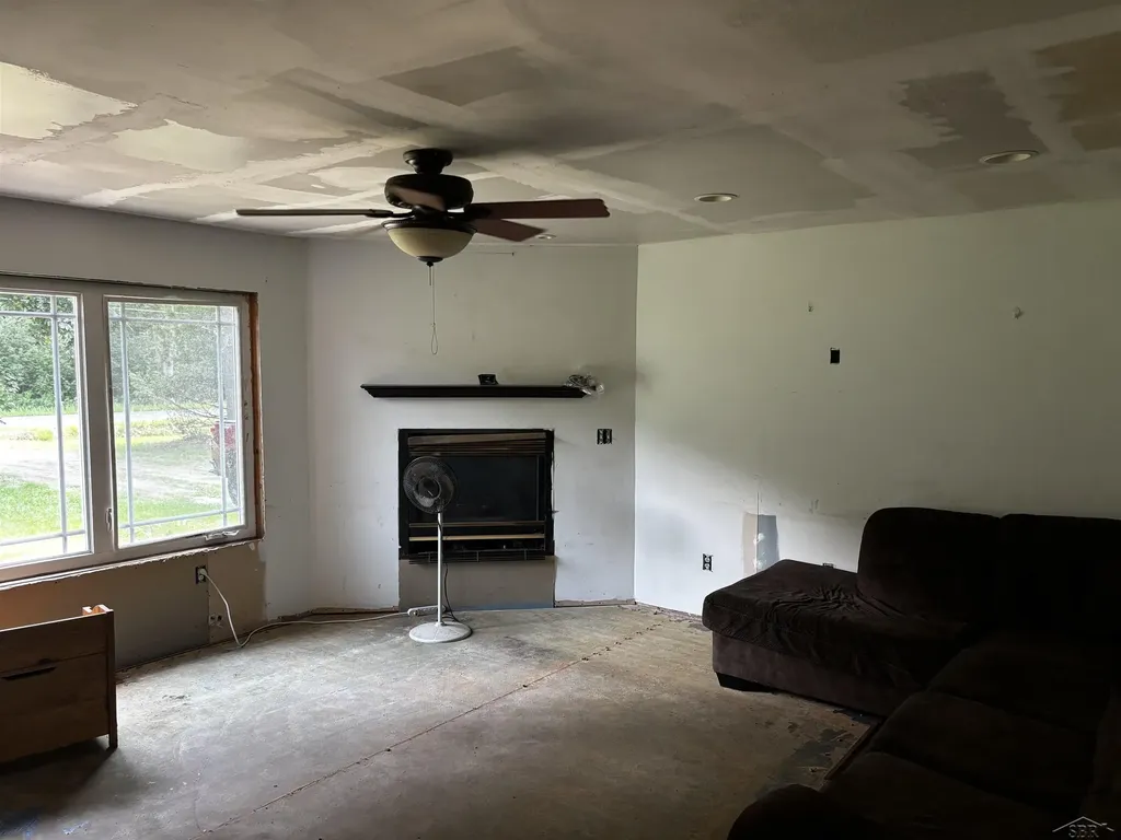 419 E Bradford Road Mt. Haley Township MI 48640