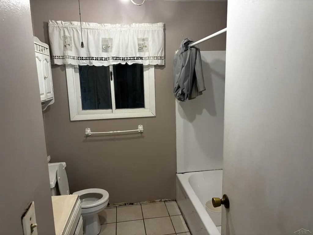 419 E Bradford Road Mt. Haley Township MI 48640