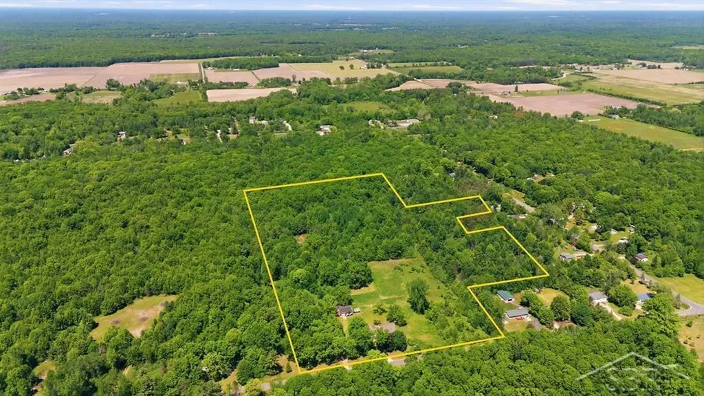 419 E Bradford Road Mt. Haley Township MI 48640