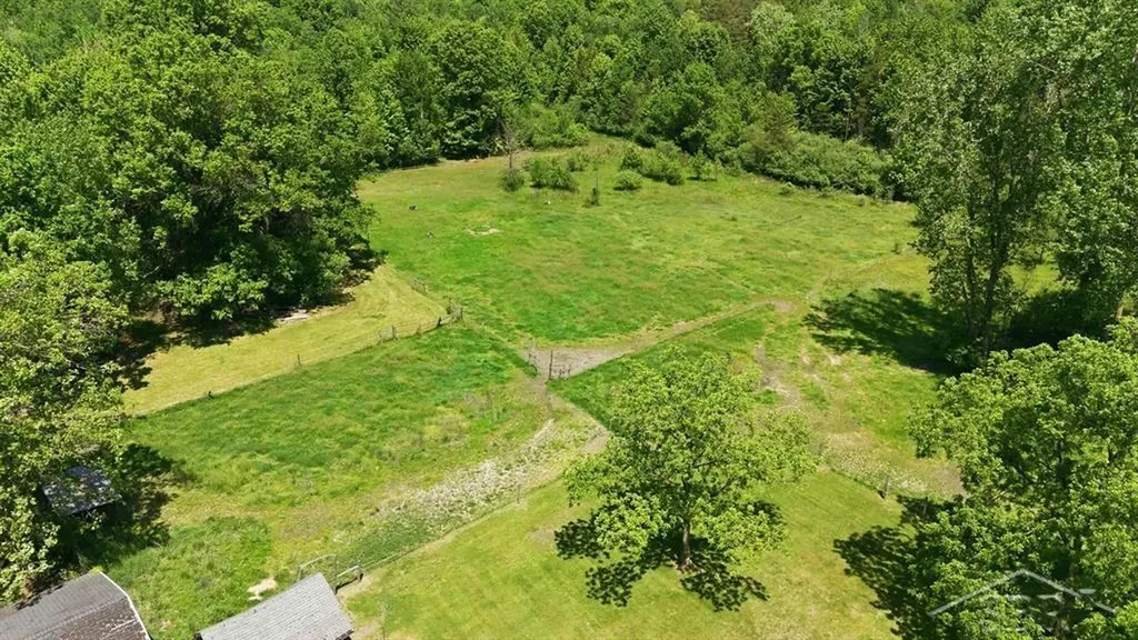 419 E Bradford Road Mt. Haley Township MI 48640