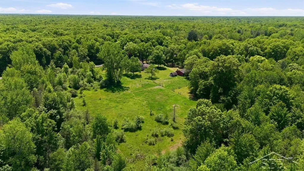 419 E Bradford Road Mt. Haley Township MI 48640