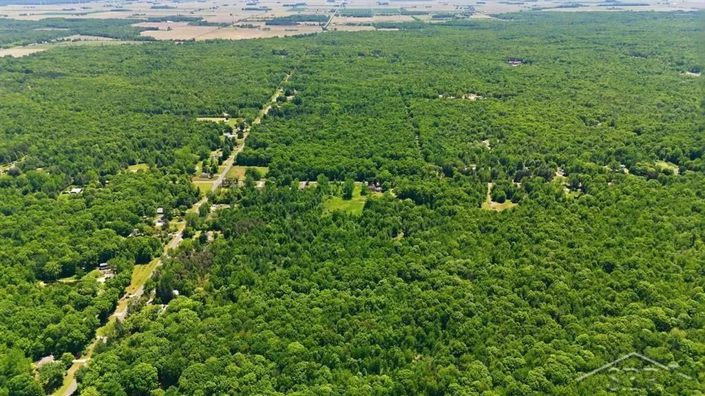 419 E Bradford Road Mt. Haley Township MI 48640