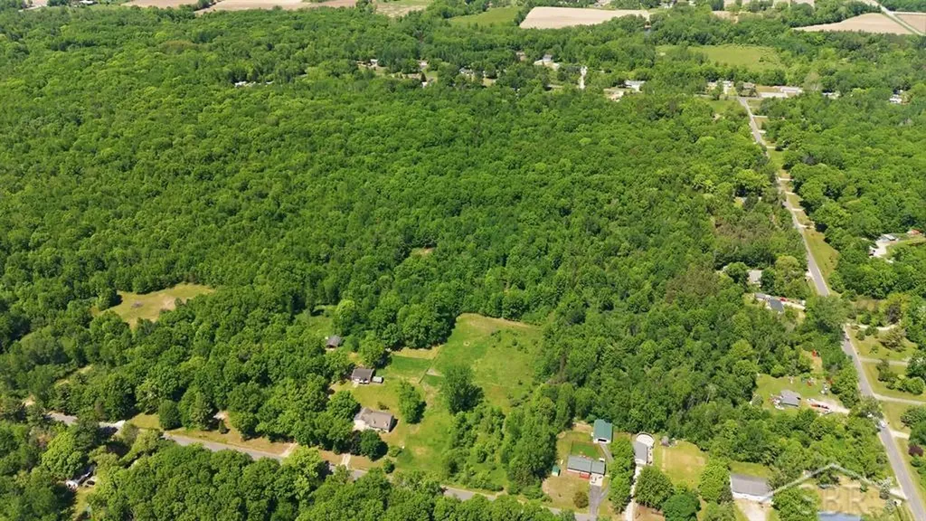 419 E Bradford Road Mt. Haley Township MI 48640