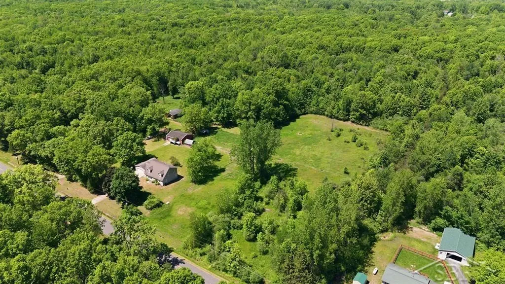 419 E Bradford Road Mt. Haley Township MI 48640