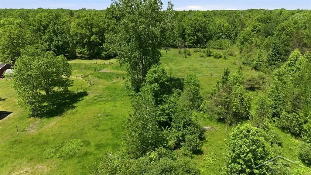 419 E Bradford Road Mt. Haley Township MI 48640