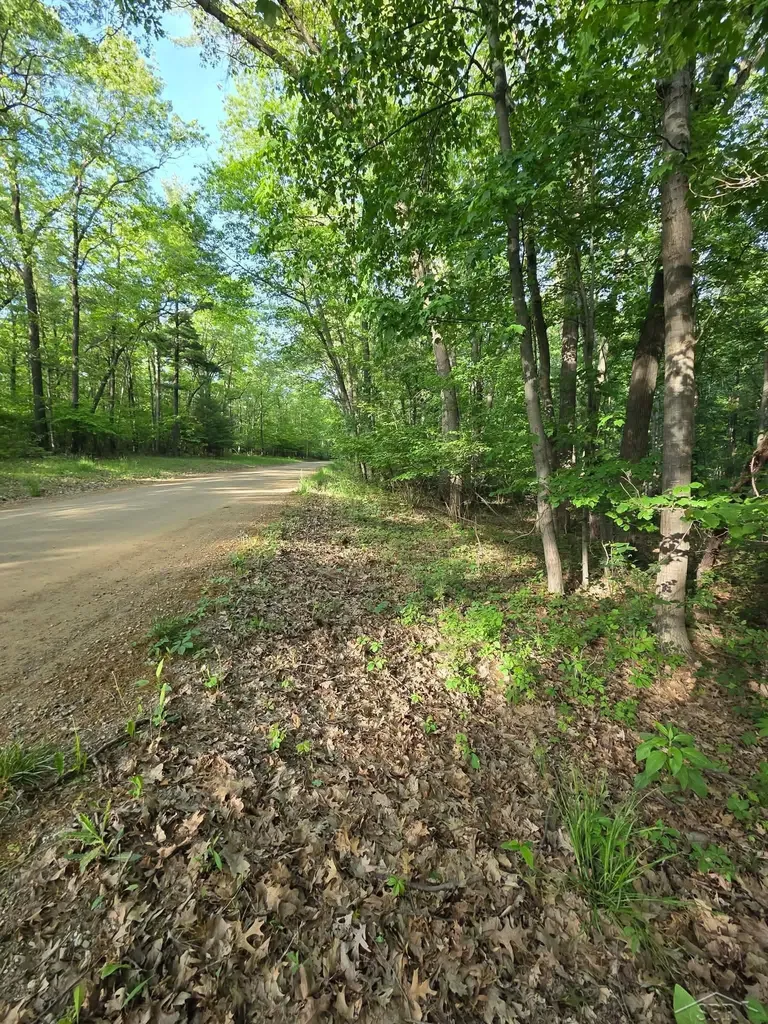 2531 Weaver Road Hume Township MI 48467