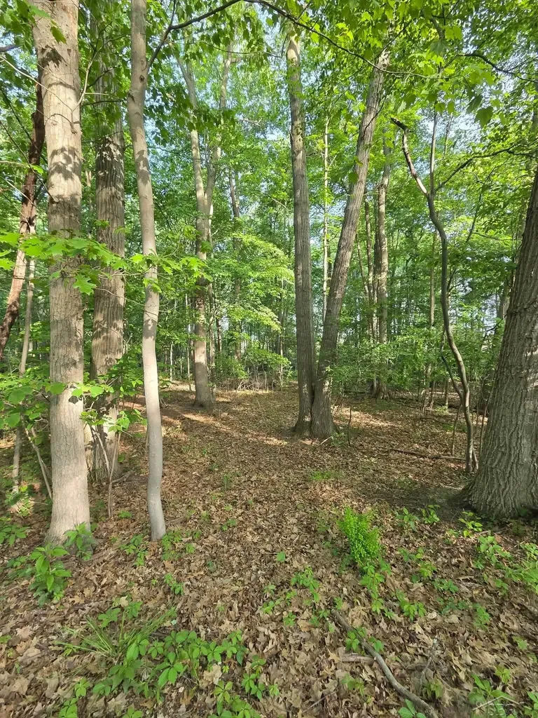 2531 Weaver Road Hume Township MI 48467