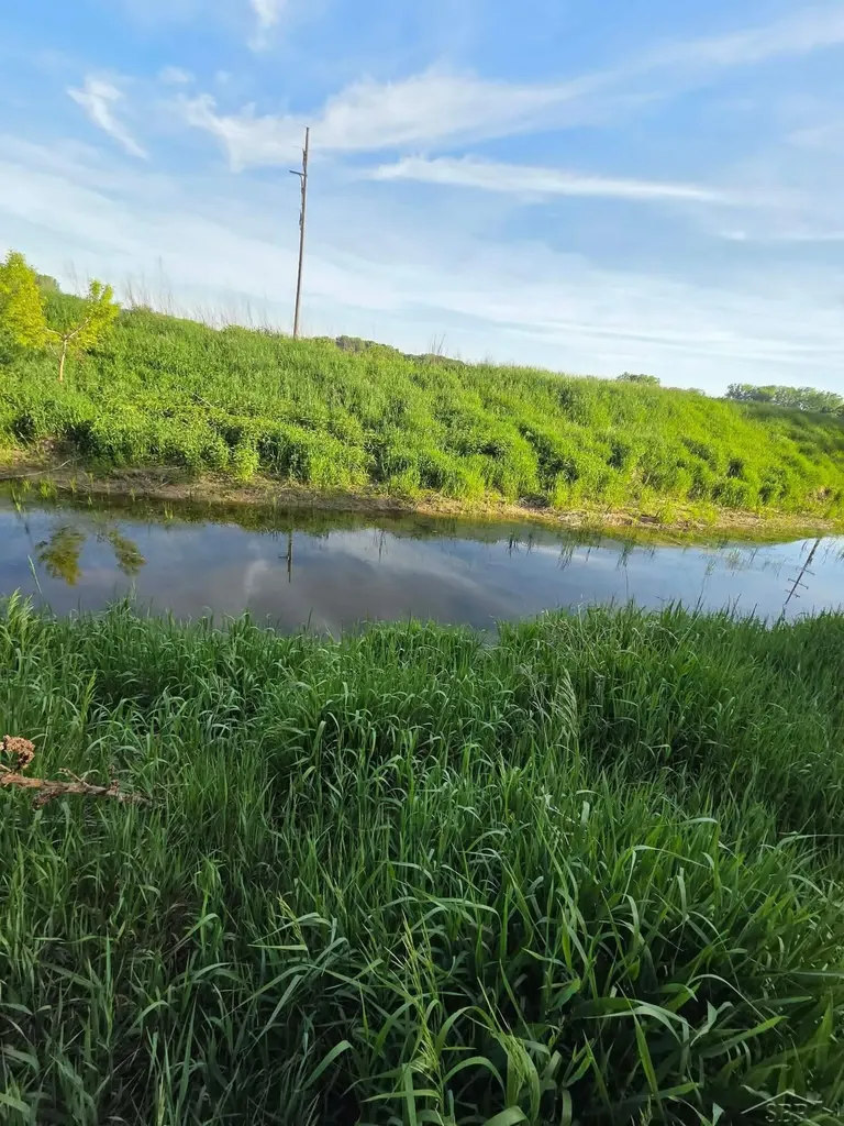 2531 Weaver Road Hume Township MI 48467