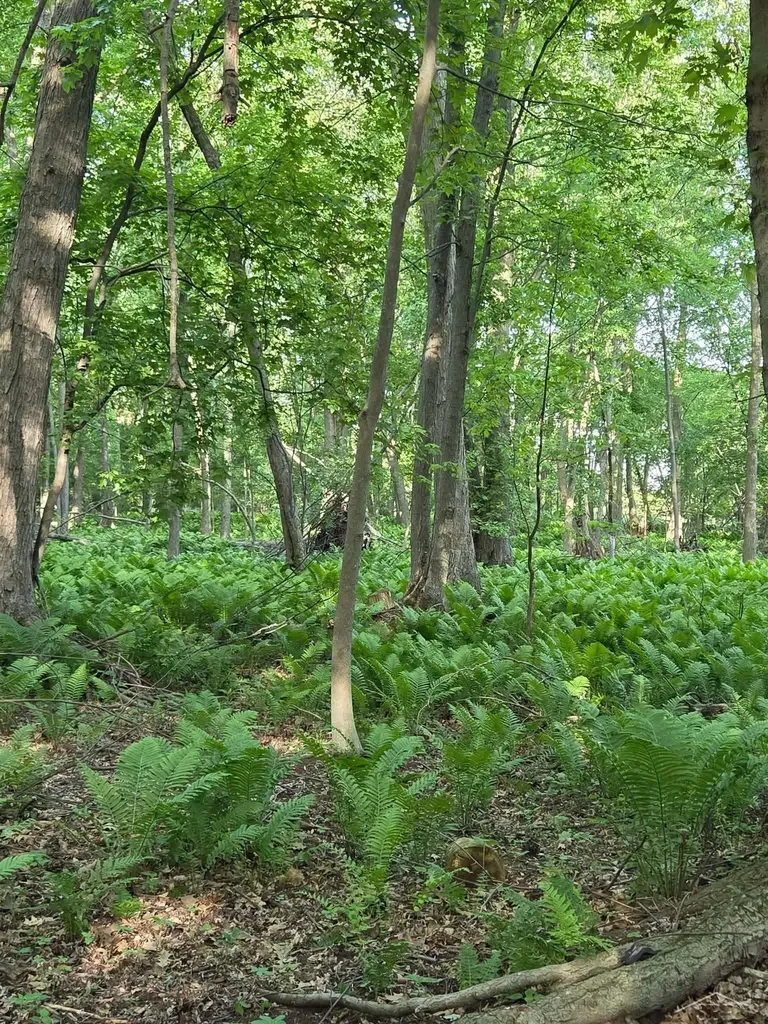 2531 Weaver Road Hume Township MI 48467