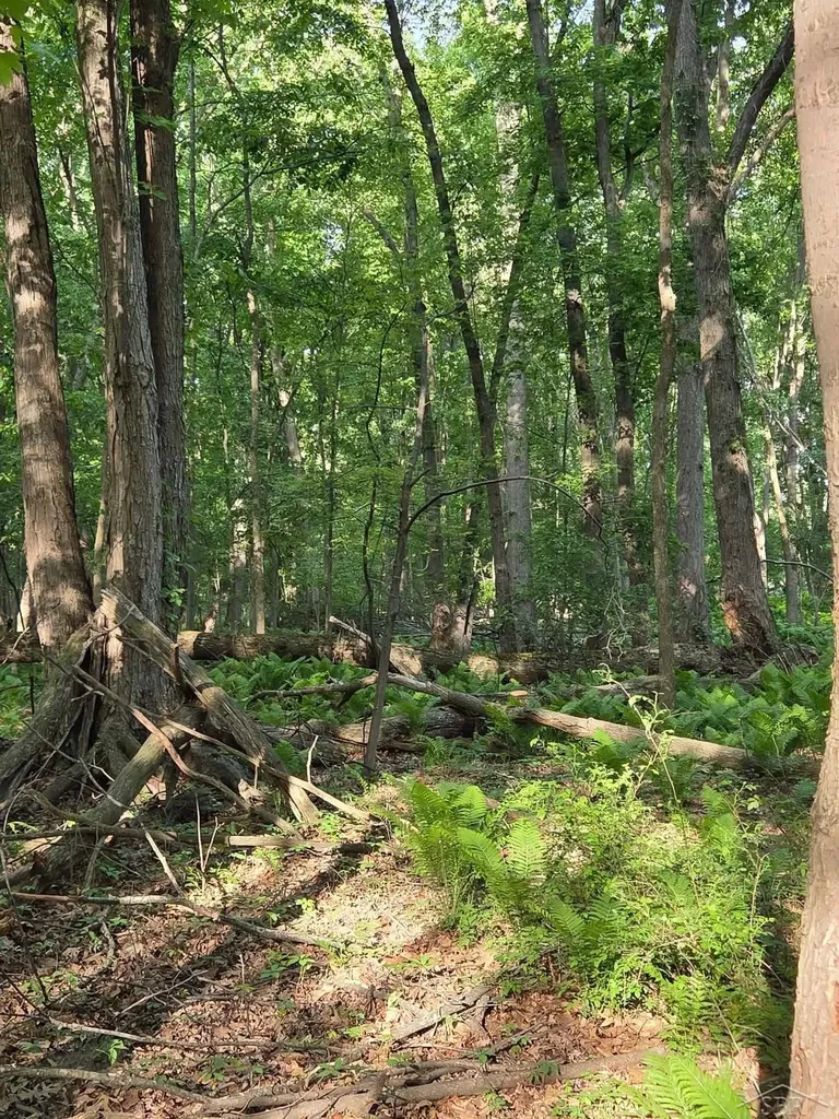 2531 Weaver Road Hume Township MI 48467