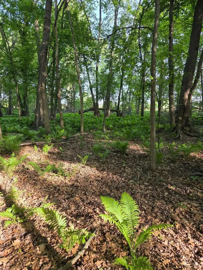 2531 Weaver Road Hume Township MI 48467