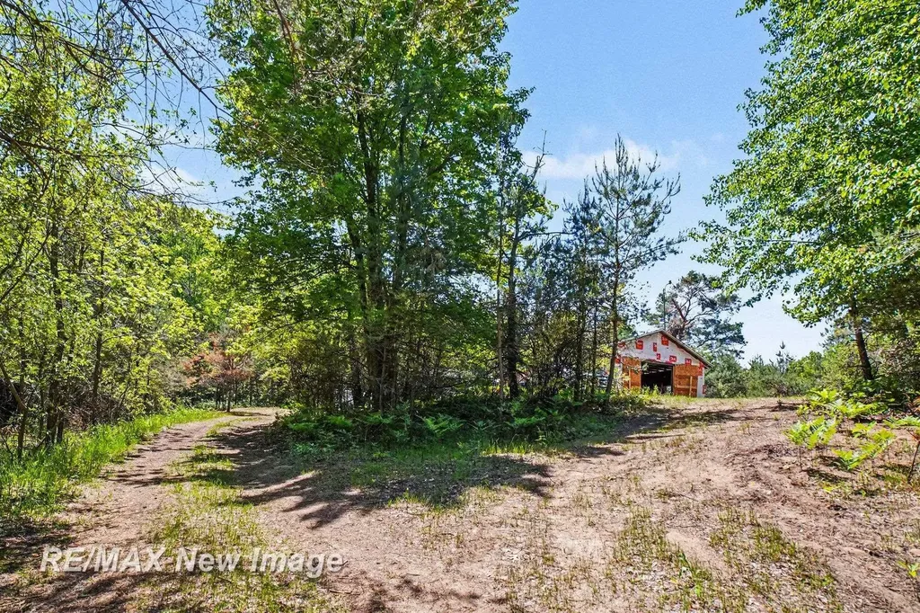 3769 W Herrick Road Gilmore Township MI 48622