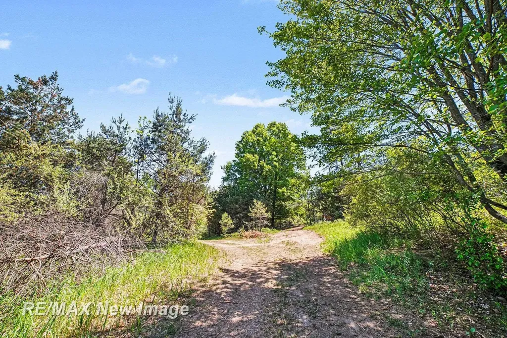 3769 W Herrick Road Gilmore Township MI 48622