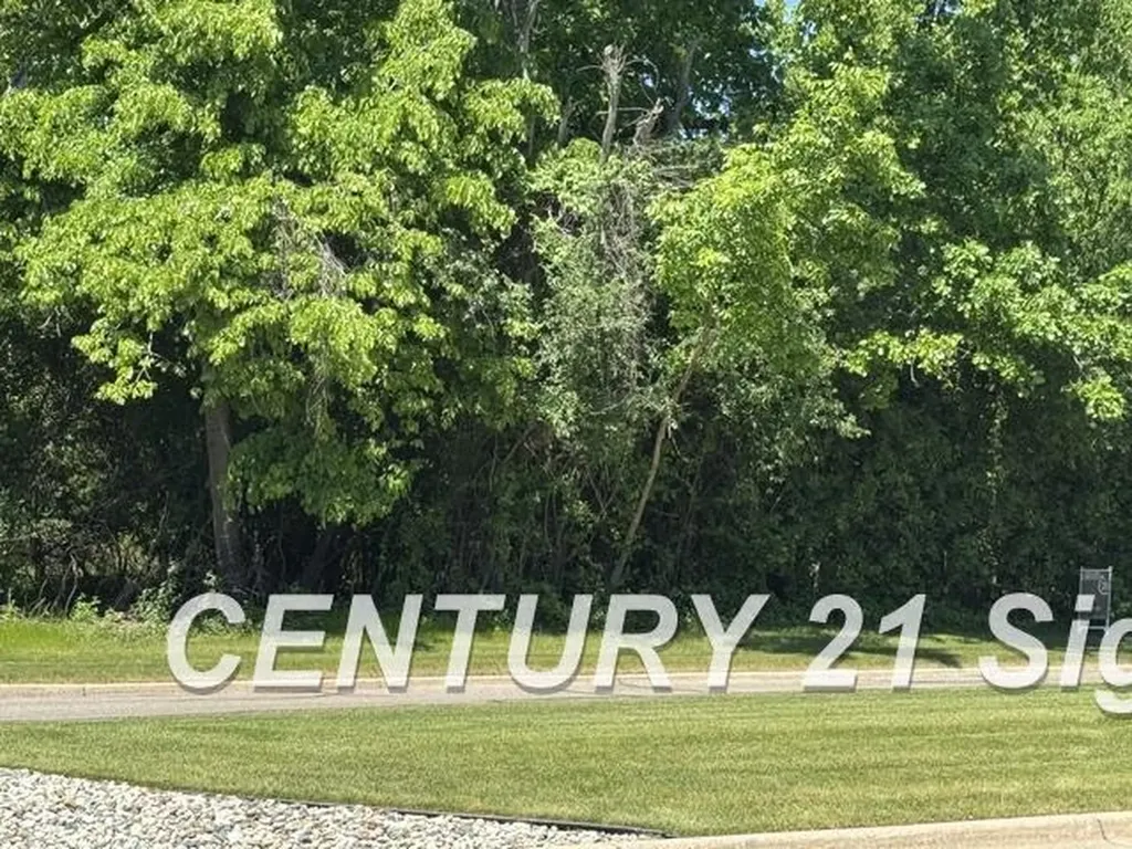 0 Sawmill Boulevard Saginaw Charter Township MI 48603