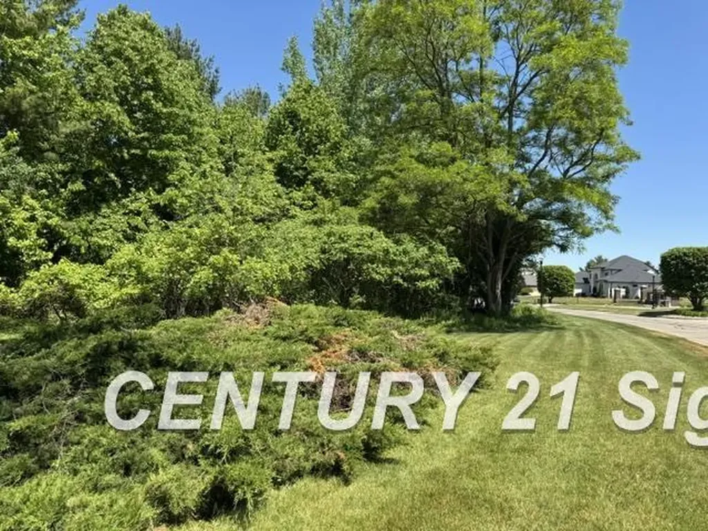 0 Sawmill Boulevard Saginaw Charter Township MI 48603